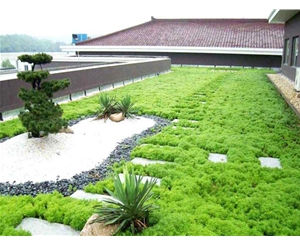 屋頂花園養護